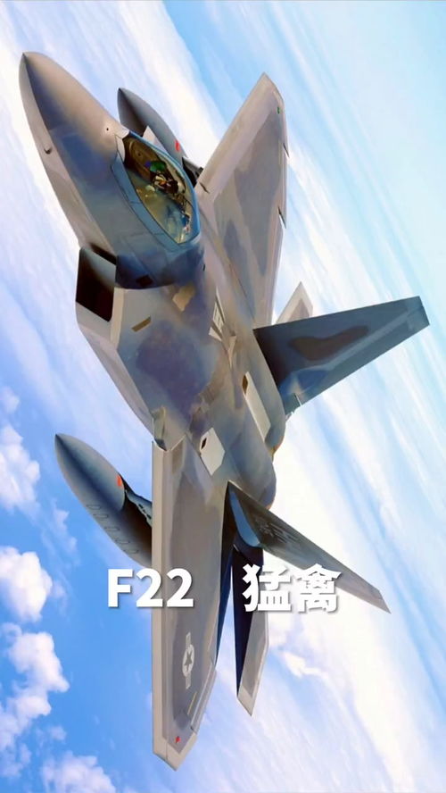 f22猛禽(F22“猛禽”有多猛！世界第一战机)