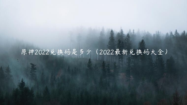 原神2022兑换码是多少（2022最新兑换码大全）