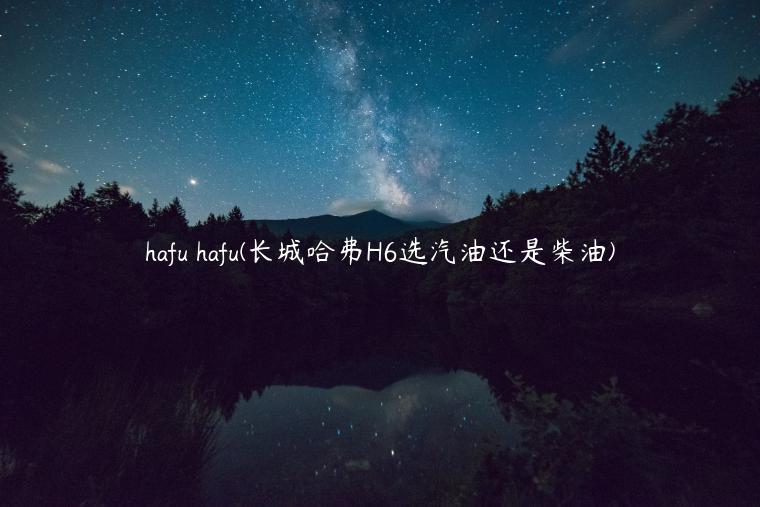 hafu hafu(长城哈弗H6选汽油还是柴油)