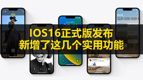 IOS16正式版(iOS16正式版如何进行更新)