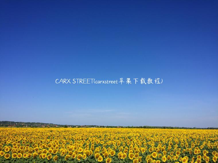 CARX STREET(carxstreet苹果下载教程)