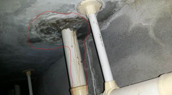 连接水管消消看2(水管接头规格介绍 水管接头规格大全)