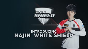 najin white shield(LOL这个头像是什么？SWORD)