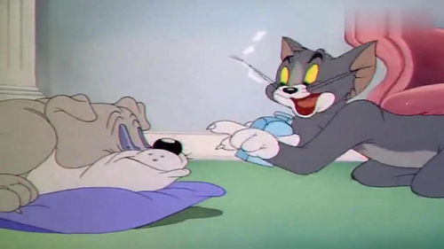 动画片 猫和老鼠(《猫和老鼠》是哪个国家的动画片)
