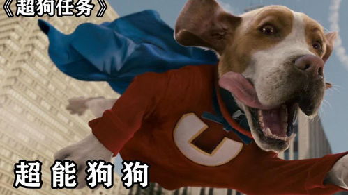 超级狗狗中文版(最近很无聊，推荐我几个好玩的游戏吧)