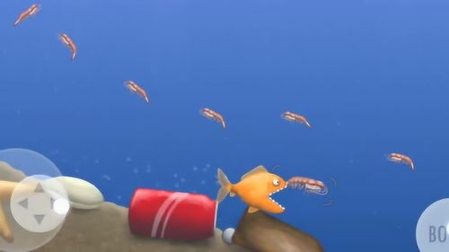 大鱼吃小鱼在线游戏(百分运动大鱼吃小鱼怎么玩)