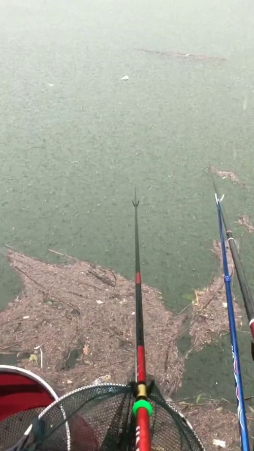 去钓鱼(下雨天能去钓鱼么？有什么危险么？)