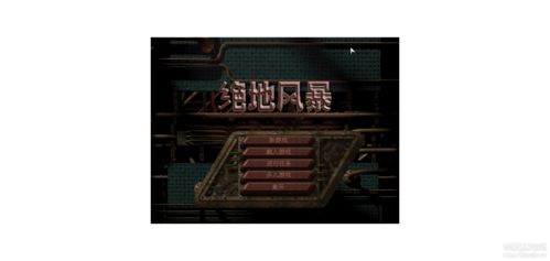 绝地风暴2中文版(绝地风暴2游戏如何开启秘籍功能？)