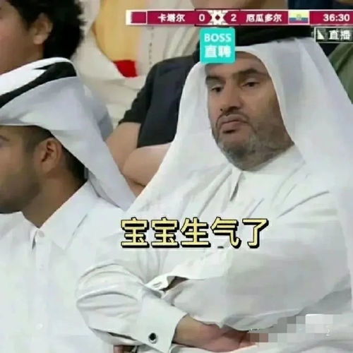 卡塔尔王子表情包(卡塔尔王子掀头巾的是谁)