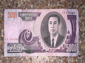 人民币对韩币(韩元对人民币的汇率是多少啊)