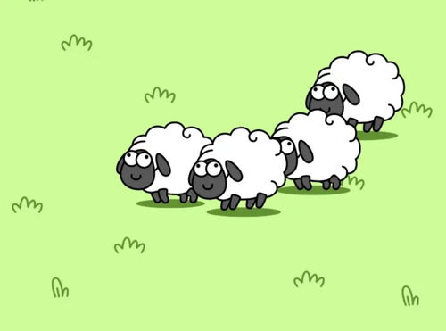 羊了个羊挂(羊了个羊不同的羊代表什么)