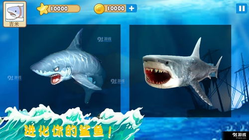 大白鲨游戏(飞禽走兽大白鲨到底怎么样才能赢或者说不输钱.求高手帮助)