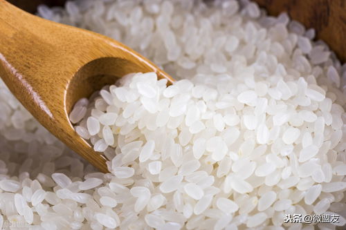 为什么密封好的大米还会长出米虫(密封的大米里面怎么会生虫子？)