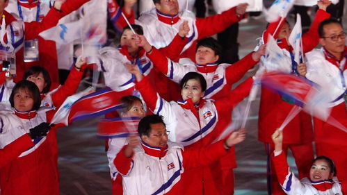 参加北京冬奥会的国家有哪些(参加北京冬奥会的国家有多少个)