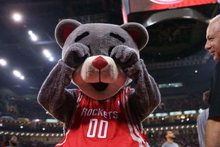 火箭熊(火箭熊是NBA各队中最贱的吉祥物，你认同吗？)