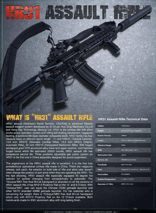 hk416专属装备(HK416自动步枪)
