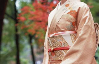 日式和服(日本和服在哪里租日本和服预约流程)